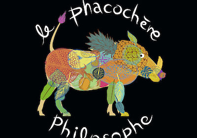Le phacochère philosophe